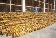 Policia Militar do Rio de Janeiro realiza a maior apreensão de drogas do Brasil